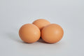 BARRED ROCK HATCHING EGGS