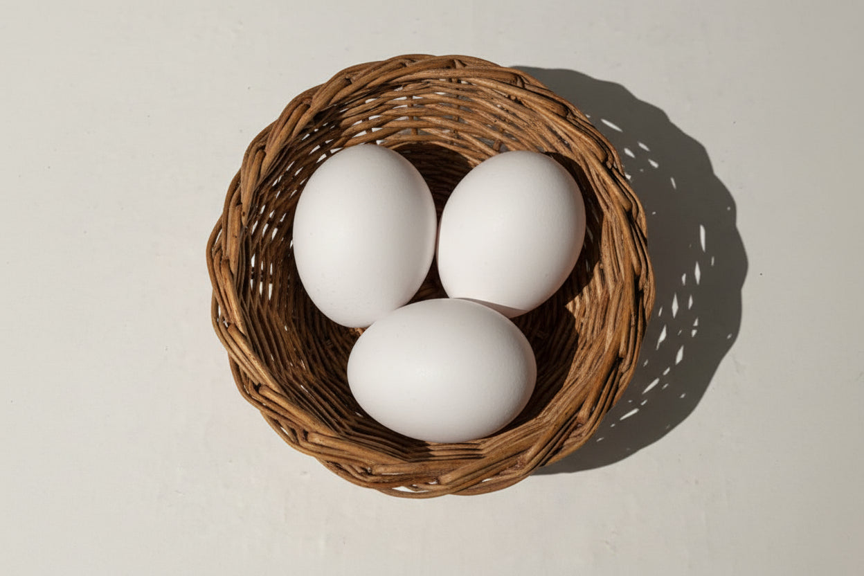 POLISH HATCHING EGGS