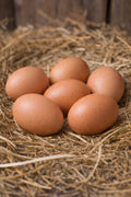 RHODE ISLAND RED HATCHING EGGS